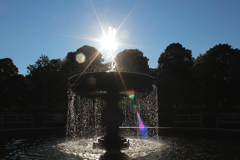 Wasser- und Lichtspiele im Hofgarten
