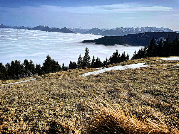 Unten schlechtes Wetter, oben Sonne überm Nebelmeer: Da kommt beim Wanderer am Hörnle Euphorie auf. Unten schlechtes Wetter, oben Sonne überm Nebelmeer: Da kommt beim Wanderer am Hörnle Euphorie auf.