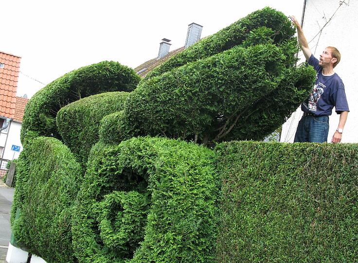 ... wer stellt sich unter diesem Begriff schon eine Hecke vor?