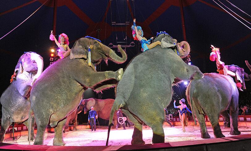 Der Circus Krone ist der größte Zirkus in Europa.