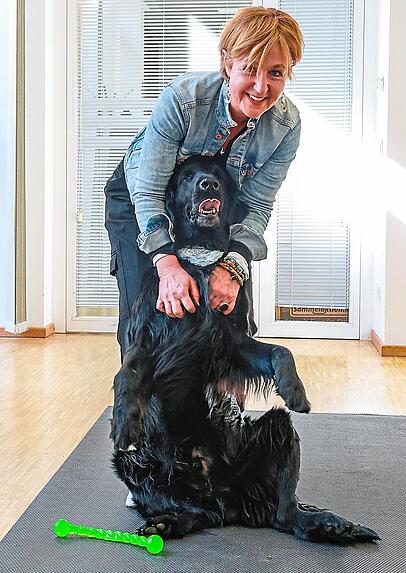 Seit drei Jahren ist der Flat Coated Retriever-Rüde Sunny Therapiehund. Mit seinem Frauchen Karina Brändlin arbeitet er in der JVA Aichach mit Insassinnen zusammen.