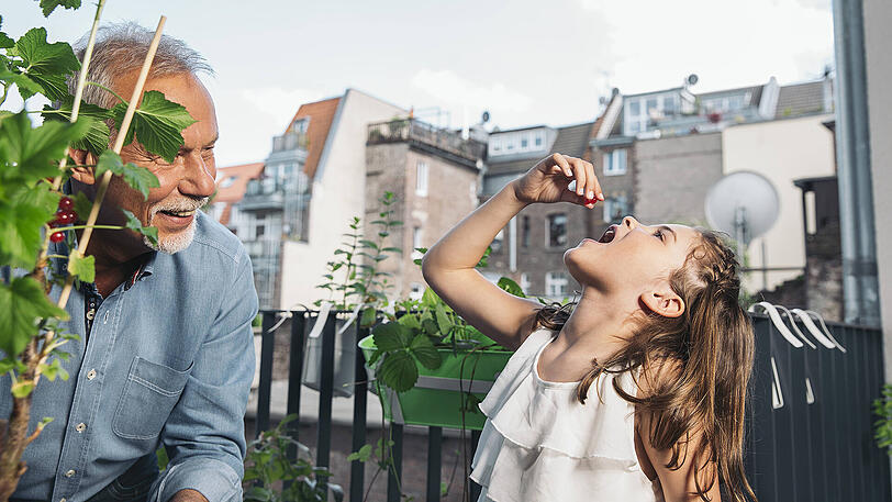Frisch vom Strauch &ndash; und schon im Mund: Sich auf dem Balkon einen eigenen kleinen Obst- und Gemüsegarten anzulegen, ist gar nicht so schwer.