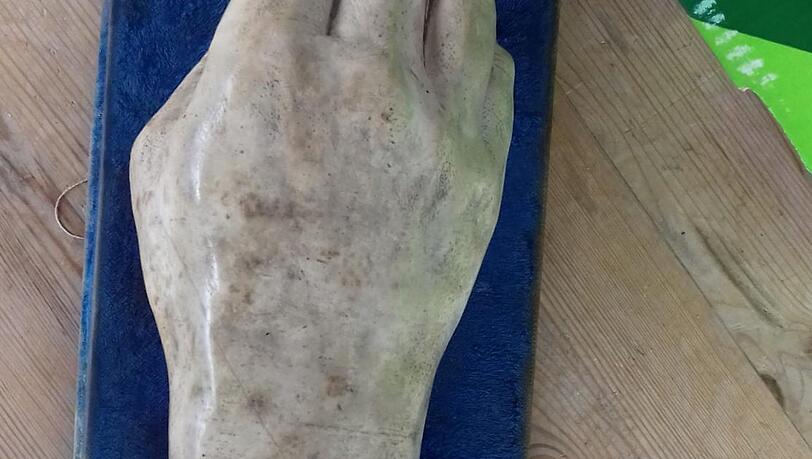 Ein Hand-Abguss vom Kini. Ein Hand-Abguss vom Kini.