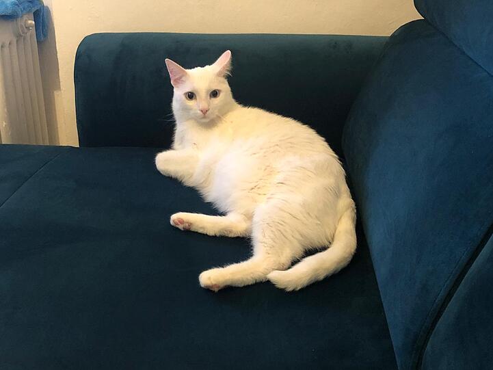 Oskar