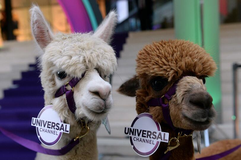 Promis in München bei der Premieren-Party des TV-Senders "Universal Channel"