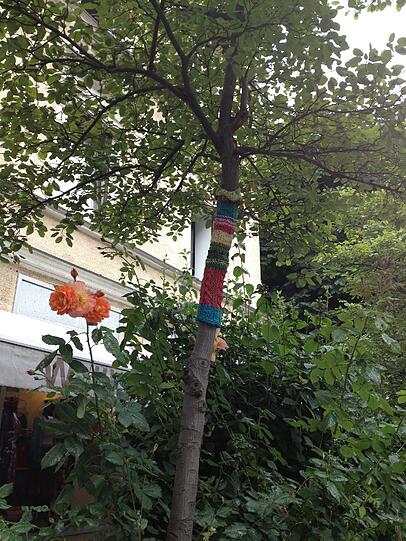 Ein Hingucker in der Volkartstraße: Den Bäumen wurden kleine Wollhüllen um die Stämme gestrickt.