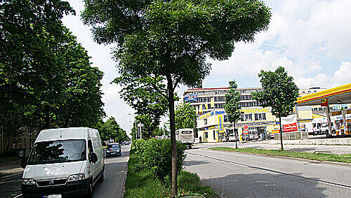 Hier passierte der schreckliche Unfall. Hier passierte der schreckliche Unfall.