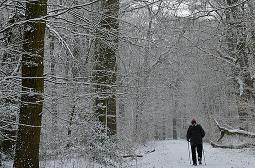 Ein Wanderer im verschneiten Wald. (Symbolbild)