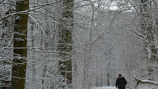 Ein Wanderer im verschneiten Wald. (Symbolbild) Ein Wanderer im verschneiten Wald. (Symbolbild)