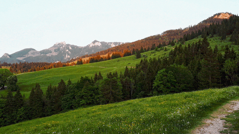 Nahe der Hofalm.