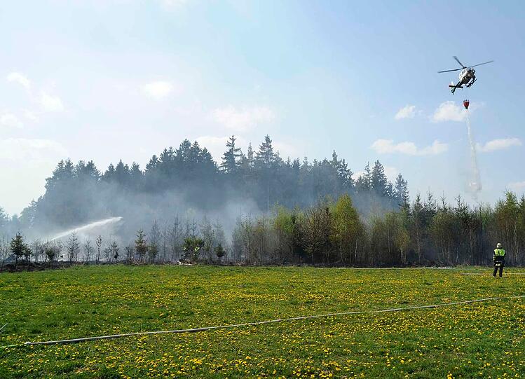 Waldbrand am Stadtrand von München: Rund zwei Hektar Jungwald sind vernichtet worden. Die Bilder der Feuerwehr.