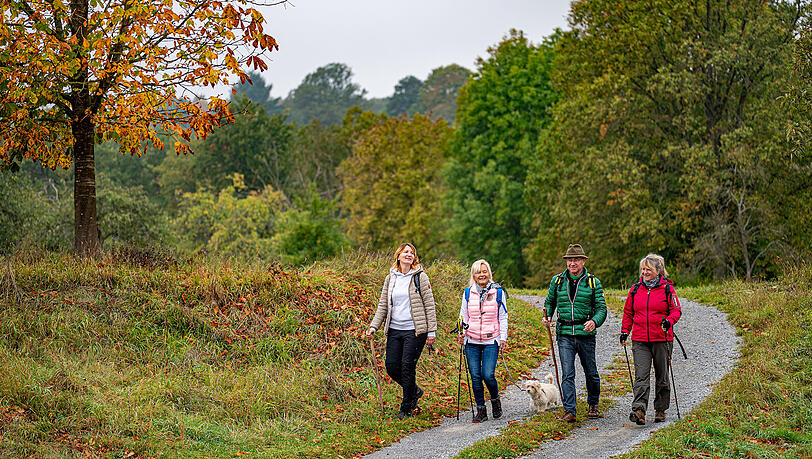 Eine Wandergruppe am Panoramaweg bei Beckstein und Recholzheim - der Panoramaweg Taubertal ist seit 2012 als "Qualitätsweg Wanderbares Deutschland" ausgezeichnet. Eine Wandergruppe am Panoramaweg bei Beckstein und Recholzheim - der Panoramaweg Taubertal ist seit 2012 als "Qualitätsweg Wanderbares Deutschland" ausgezeichnet.