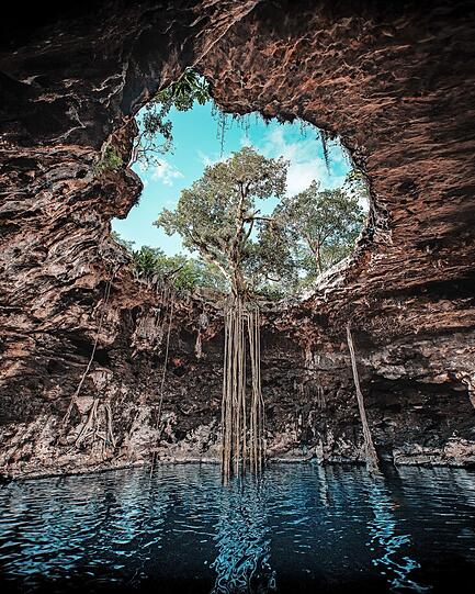 Cenote heißen Höhlen wie diese auf Yucatán (Mexiko), deren Decke im Laufe der Jahrmillionen eingestürzt ist.