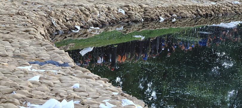 Bilder: Menschen in Nord- und Ostdeutschland kämpfen weiter gegen das Hochwasser