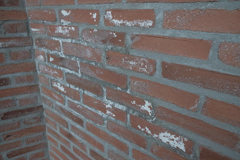 Hinter dieser Wand befindet sich irgendwo eine defekte Rohrleitung.