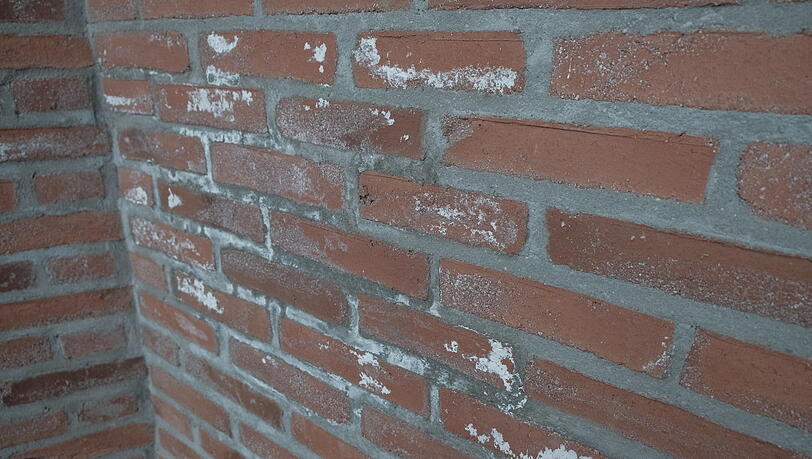 Hinter dieser Wand befindet sich irgendwo eine defekte Rohrleitung.