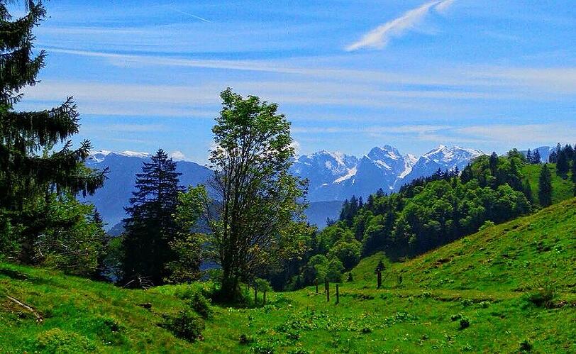 Ein wunderschönes Panorama bietet der Brünstein.