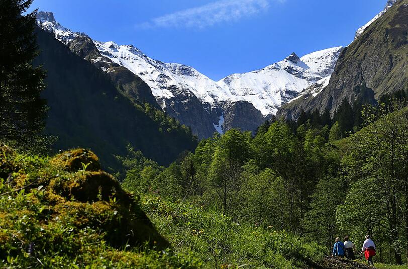Ein 78-Jähriger ist beim Wandern in Vorarlberg tödlich verunglückt. (Symbolbild)