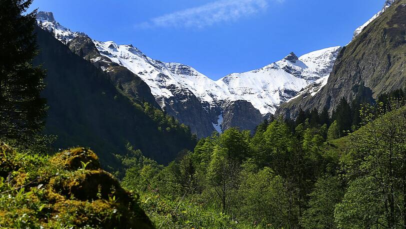 Ein 78-Jähriger ist beim Wandern in Vorarlberg tödlich verunglückt. (Symbolbild) Ein 78-Jähriger ist beim Wandern in Vorarlberg tödlich verunglückt. (Symbolbild)