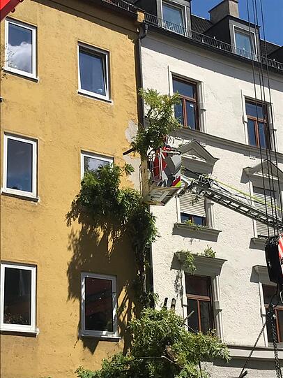 Neben einem Auto wurde auch die Fassade des Hauses, gegen das der Baum gefallen ist, leicht beschädigt.