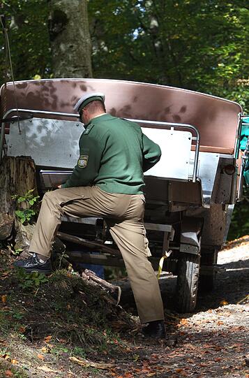 Die Bilder vom Kutschen-Unfall in Neuschwanstein.