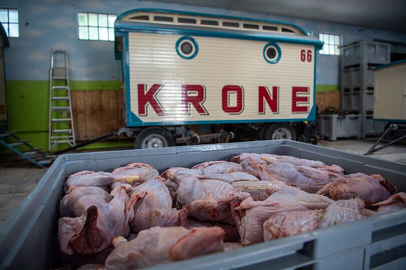 Gefrorene Hähnchen zur fütterung der Wildkatzen liegen vor einem Krone-Anhänger in einer Box zum auftauen.