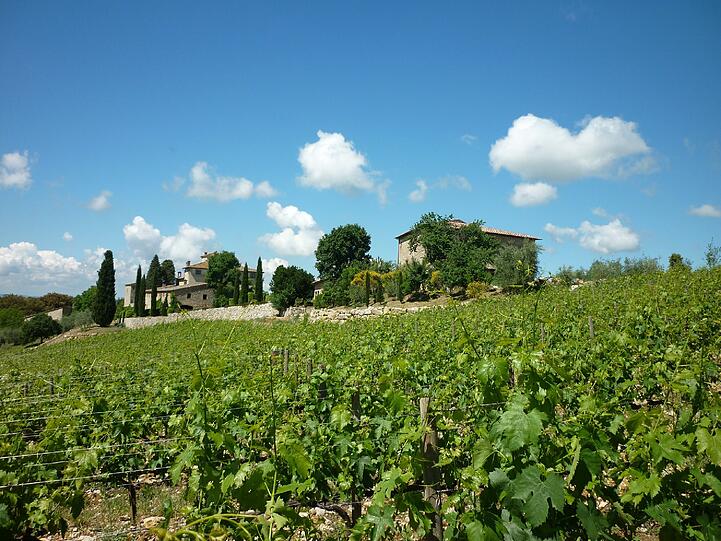 Gebiet von Gaiole - Chianti.