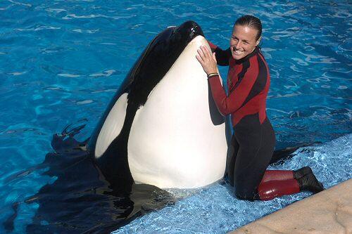 Dawn Brancheau mit einem Orca in SeaWorld
