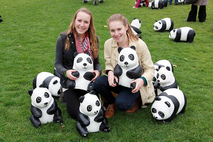 WWF Deutschland feiert 50-jähriges Bestehen: Die Panda-Skulpturen am Marienhof
