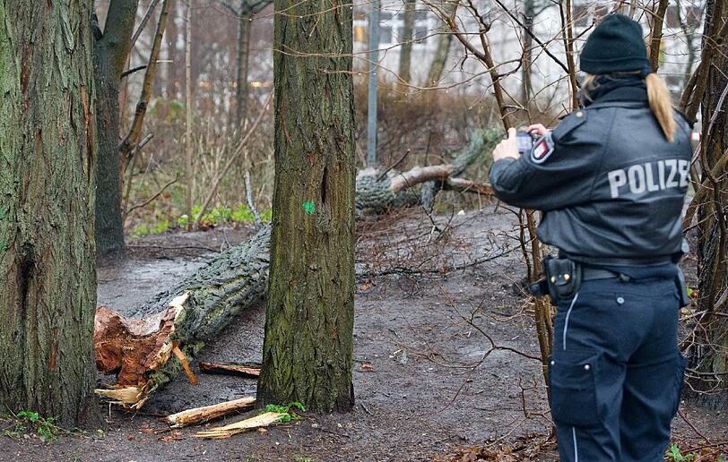 An einer Hamburger Schule wurden mehrere Kinder von einem umstürzenden Baum verletzt - zwei davon schwer.