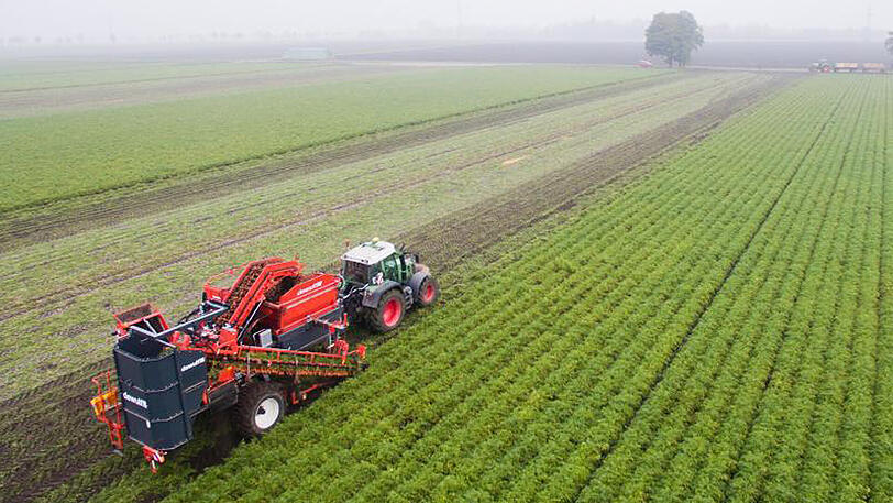 Ein Landwirt in Niedersachsen bei der Ernte von Bio-Möhren.