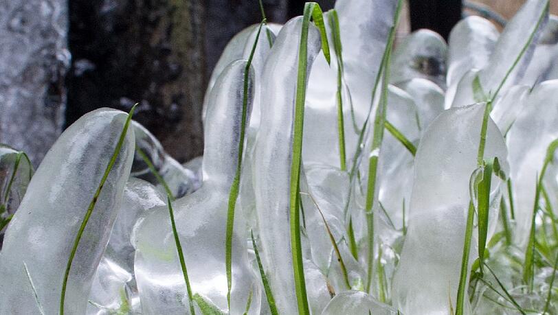 Der Frost formt rund um die Bremsdorfer Mühle im Schlaubetal nahe Bremsdorf (Brandenburg) eisige Kunstwerke. Der Frost formt rund um die Bremsdorfer Mühle im Schlaubetal nahe Bremsdorf (Brandenburg) eisige Kunstwerke.