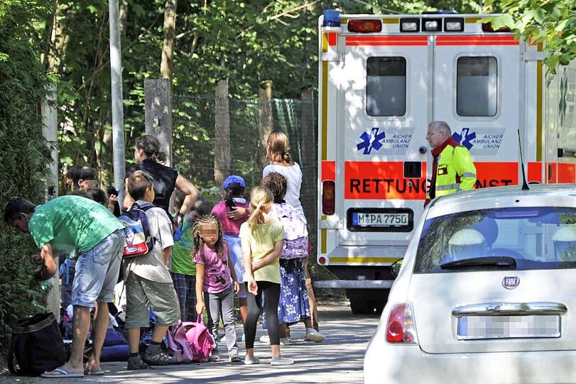Aufgeschreckte Wespen können aggressiv reagieren. Das bekamen 20 Kinder in Harlaching schmerzlich zu spüren.