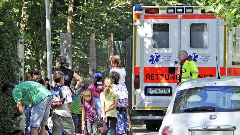 Aufgeschreckte Wespen können aggressiv reagieren. Das bekamen 20 Kinder in Harlaching schmerzlich zu spüren. Aufgeschreckte Wespen können aggressiv reagieren. Das bekamen 20 Kinder in Harlaching schmerzlich zu spüren.