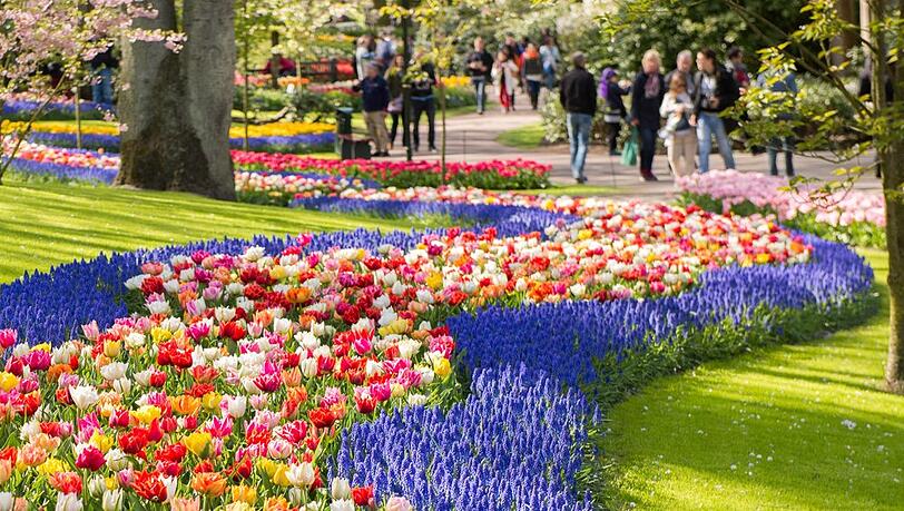 Keukenhof: Die niederländische Gartenanlage ist weltberühmt.
