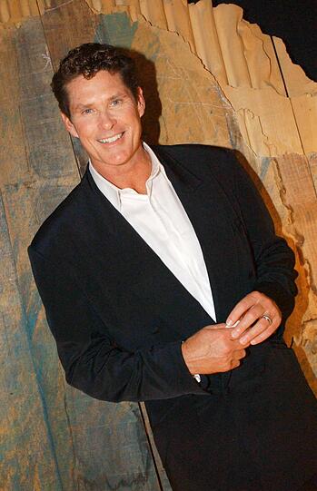 "Baywatch" und "Looking for Freedom" - David Hasselhoff feierte in den 90ern seine größten Erfolge.