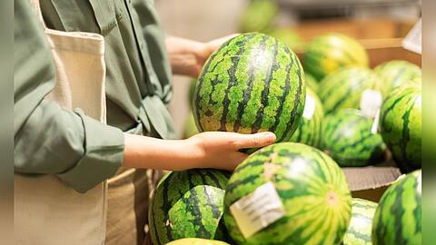 Eine reife Wassermelone zu erkennen, kann ein kleines Kunststück sein.