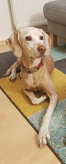 Zoe