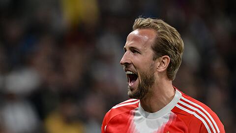 Harry Kane hat zugeschlagen: Der Engl&auml;nder jubelt nach seinem 2:0.