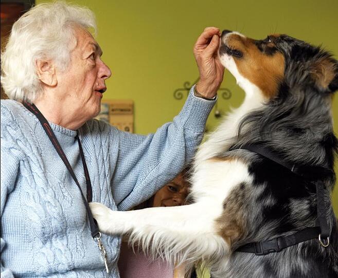 Hunde geben Senioren in Einrichtungen und Menschen mit Beeinträchtigung neue Lebensenergie.