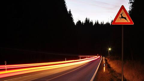 Plötzlich rennt ein Reh auf die Straße - mit Folgen für die Autofahrerin. (Symbolbild)