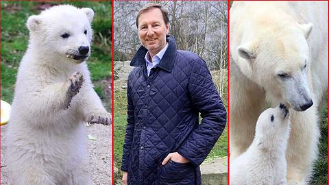Tierpark-Direktor Andreas Knieriem verlässt München und seine geliebten Eisbärenbabys.