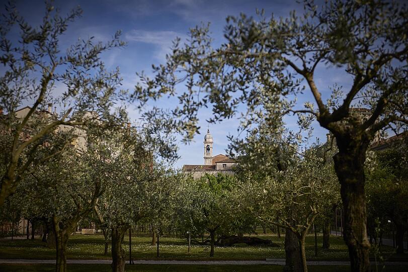 Man ahnt nicht, dass dieser ruhige Klostergarten direkt neben dem Bahnhof Santa Lucia zu finden ist. Man ahnt nicht, dass dieser ruhige Klostergarten direkt neben dem Bahnhof Santa Lucia zu finden ist.