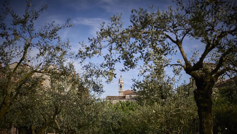Man ahnt nicht, dass dieser ruhige Klostergarten direkt neben dem Bahnhof Santa Lucia zu finden ist. Man ahnt nicht, dass dieser ruhige Klostergarten direkt neben dem Bahnhof Santa Lucia zu finden ist.