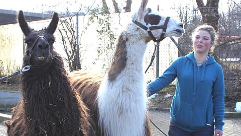 Caky und Fernando suchen eine große Wiese.