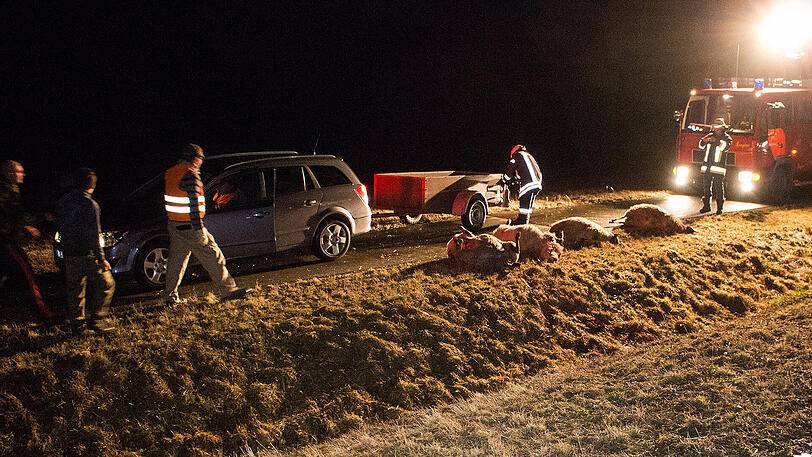 Nichts für schwache Nerven. Ein Mercedes raste mitten in die Herde &ndash; die Bilder vom Bergungseinsatz.