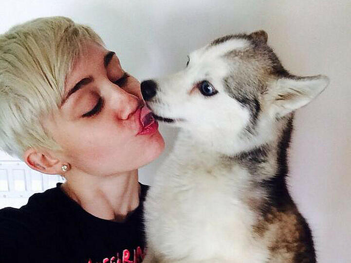 Ungewöhnlich eng: Miley Cyrus mit ihrem kürzlich verstorbenen Hund Floyd