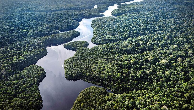 Der-Amazonas-als-Kulisse-Was-bringt-die-Klimakonferenz-