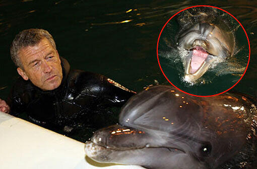 Für die Löwen ging's am Mittwoch noch tierisch zu: Im Delfinarium durften sie mit Flipper & Co. eine Runde schwimmen.