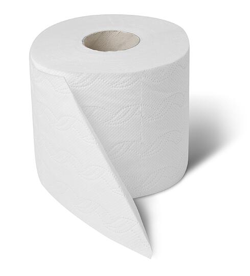 An einigen Münchner Schulen offenbar ein Luxusartikel: eine Rolle Toilettenpapier.